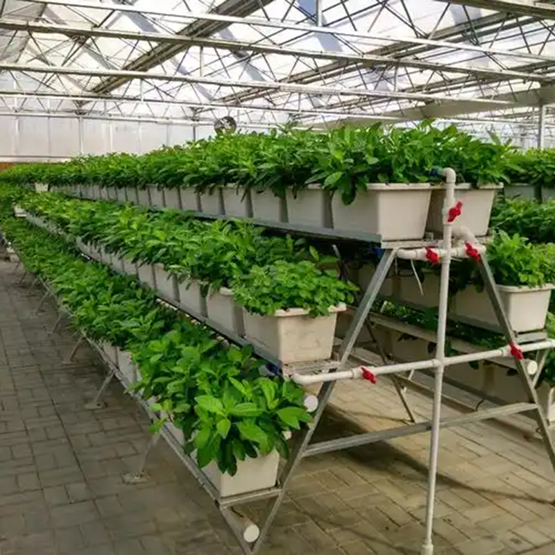 营口市植物工厂气雾培 - 哪里好